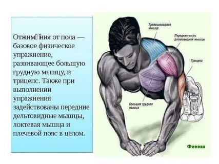 Схема отжима