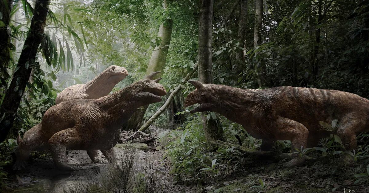Период фотографии. Архозавры Триасового периода. Архозавры мезозой. Текодонты Триасового периода. Archosaurus rossicus.