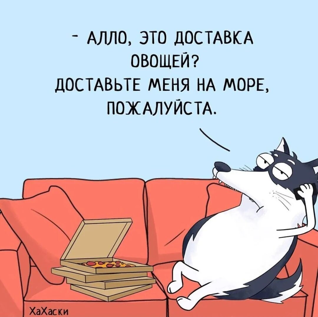 Что делать на выходных