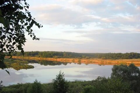 Погода в ветлуге нижегородской