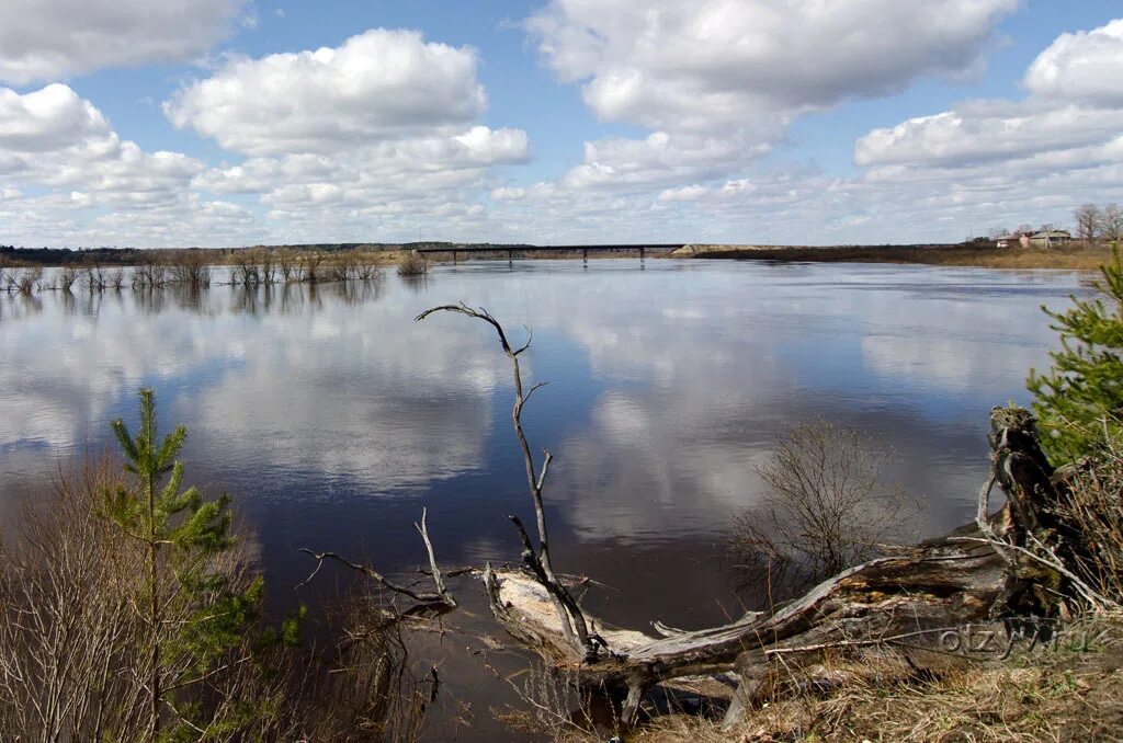 Уровень воды в унже сегодня. Кологрив Унжа. Река Унжа Костромская область. Кологрив река. Унжа город.