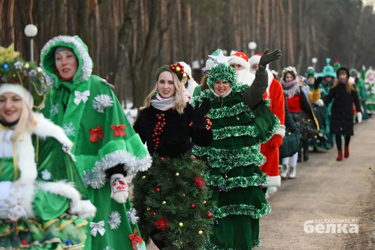 Выход елок. Выход елок