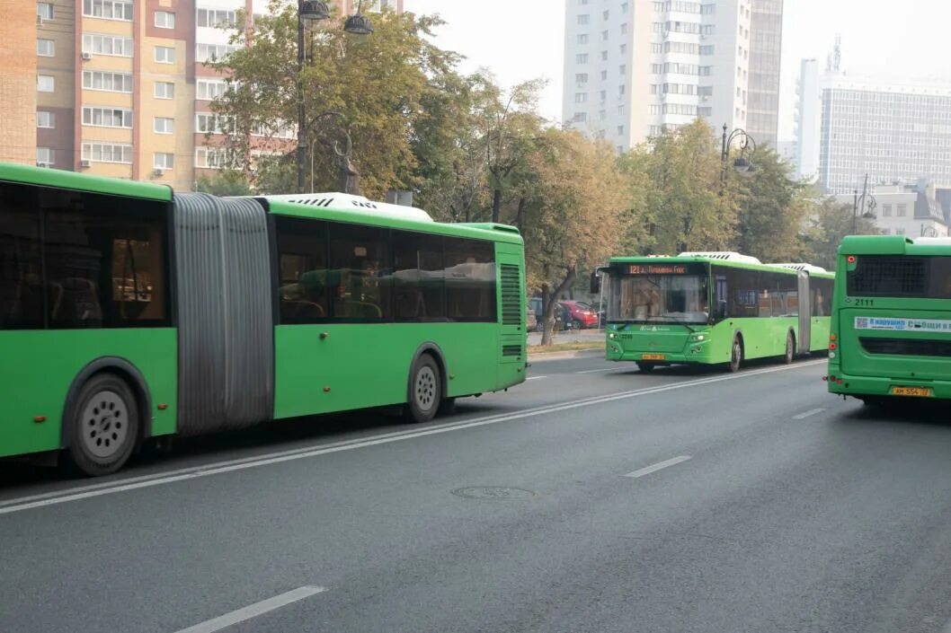 Сколько автобусов в тюмени