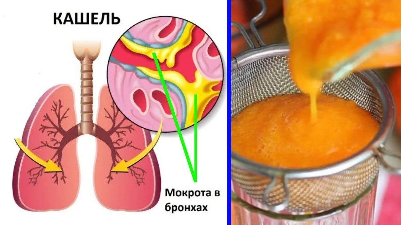 Что пить слизь