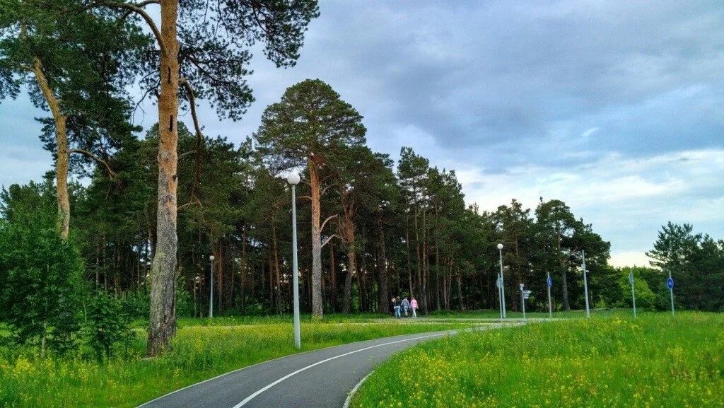 Природный парк тюмень. Гилевская роща Тюмень. Парк Тюмени геоловская роща. Парк Гилевская роща. Гилевский парк Тюмень.