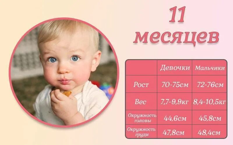 Как научить ребенка в 11 месяцев. 11 месяцев ребенку развитие. что должен ребенок в 11 месяцев. что умеет ребёнок в 11 месяцев. умелки ребенка в 11 месяцев.
