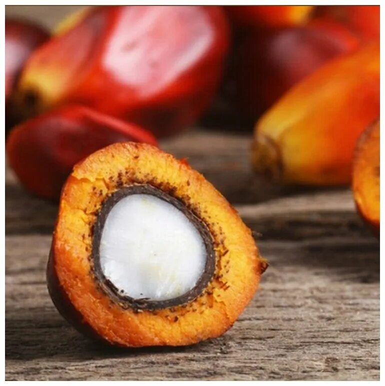 Пальмовое масло мифы. Пальмоядровое масло. Пальмоядровое масло. Palm kernel oil. Пальмоядровое и пальмовое разница.