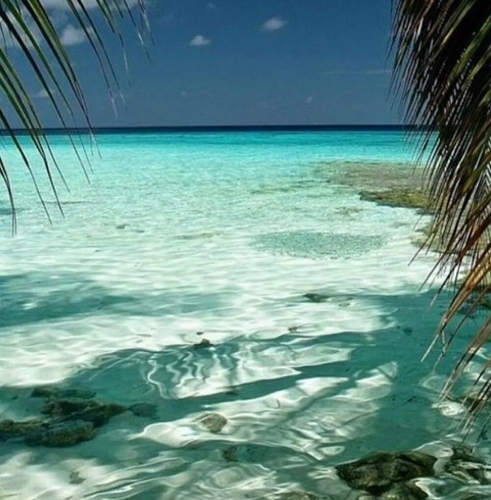 Куба омывается океаном. Карибское море Куба. Мальдивы индийский океан отливы. Доминикана Атлантический океан. Голубая Лагуна Саона Доминикана.