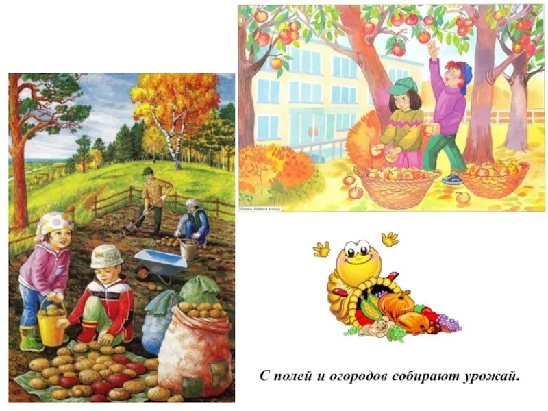 Сбор урожая для детей. Труд людей летом. Сбор урожая картина для дошкольников. Сбор урожая для детей. Занятие в подготовительной группе труд людей осенью.