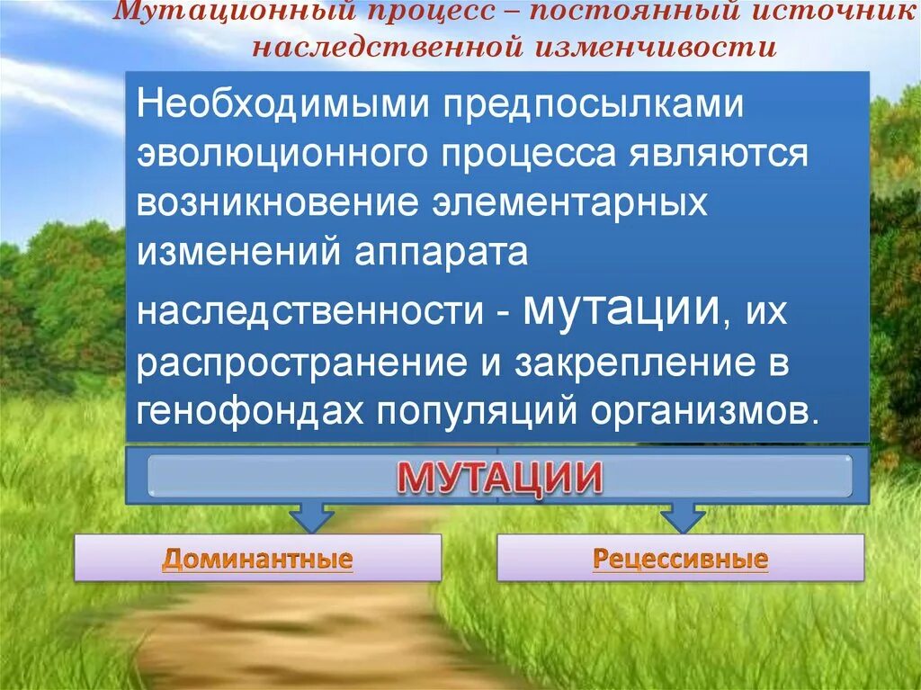 Постоянным источником наследственной изменчивости. Постоянный источник наследственной изменчивости. Что является необходимыми предпосылками эволюционного процесса. Мутационный процесс источник. Источником мутационной изменчивости является.