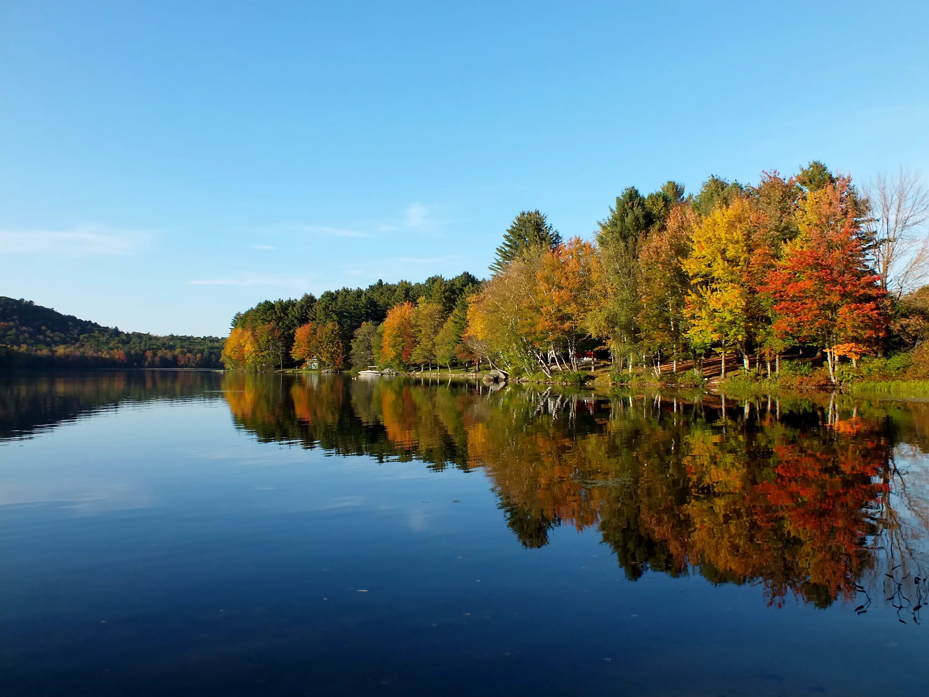 Озеро листвы. Осеннее озеро. Осень пруд. Осеннее озеро. Красивая осень.