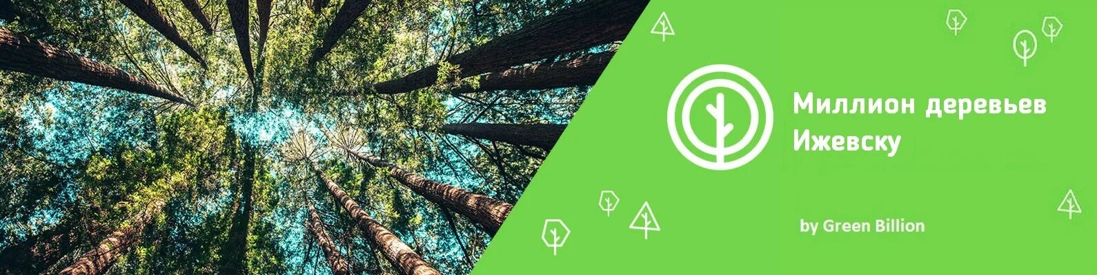 Ижевск пересадка. Посади лес ижевск. деревья в ижевске. green billion. бумеранг ижевск.