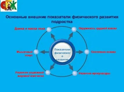 Общее физическое развитие это
