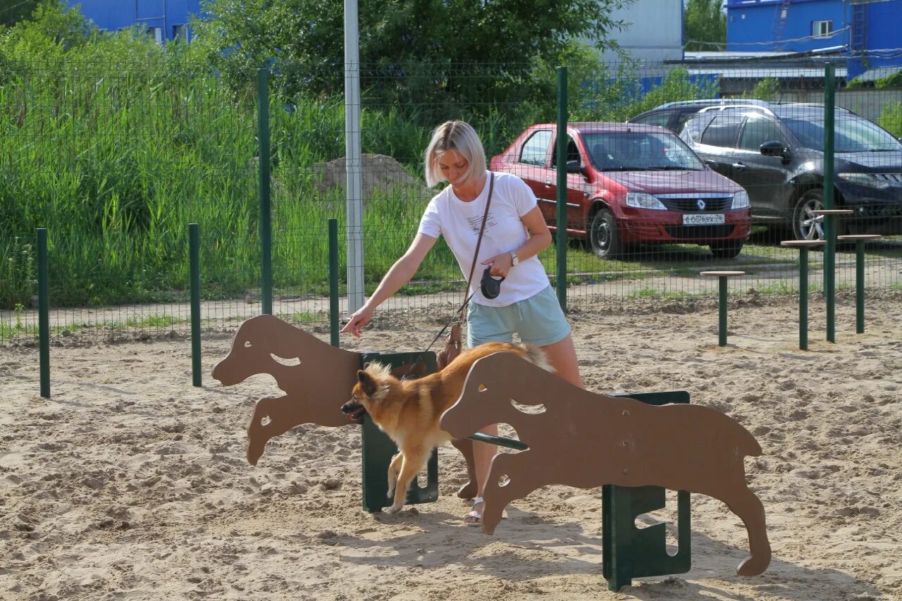 Площадка для собак. Площадка для выгула собак. Собачья площадка в Рыбинске. Площадки для собак в Рыбинске. Орджоникидзе рыбинск