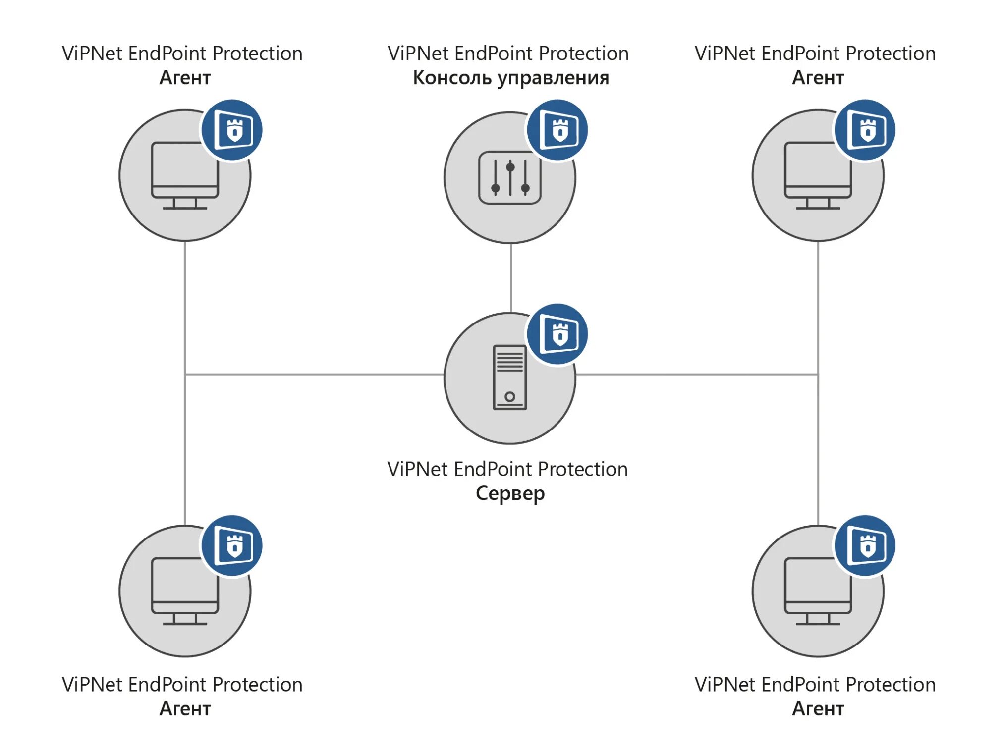 Client endpoint. VIPNET. VIPNET сеть. Сервер VIPNET. VIPNET Endpoint.
