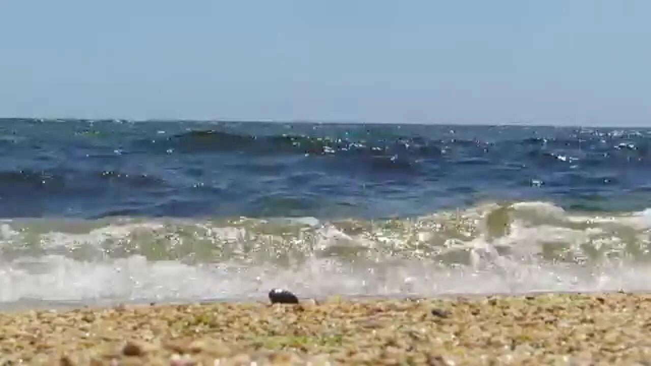 Видео берега черного моря. Видео берега черного моря. ,hyjtg jht. Чёрное море2023. Черное море почему черное.