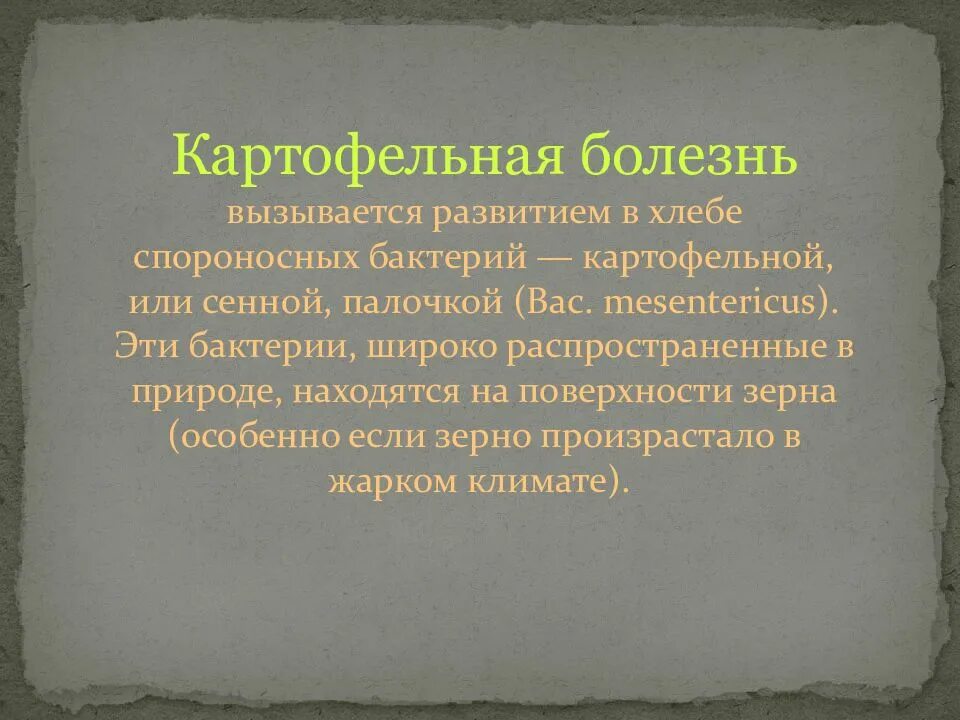 Картофельная болезнь хлеба. Картофельная палочка в хлебе. Картофельная болезнь вызывается. Профилактика картофельной болезни хлеба. Картофельная болезнь хлеба признаки