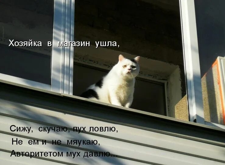 Прости но я скучаю по тебе. Цитаты про тоску по любимому. Скучаю цитаты. Иди обниму картинки. Стихи.