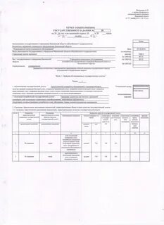 Отчет о выполнении государственного задания