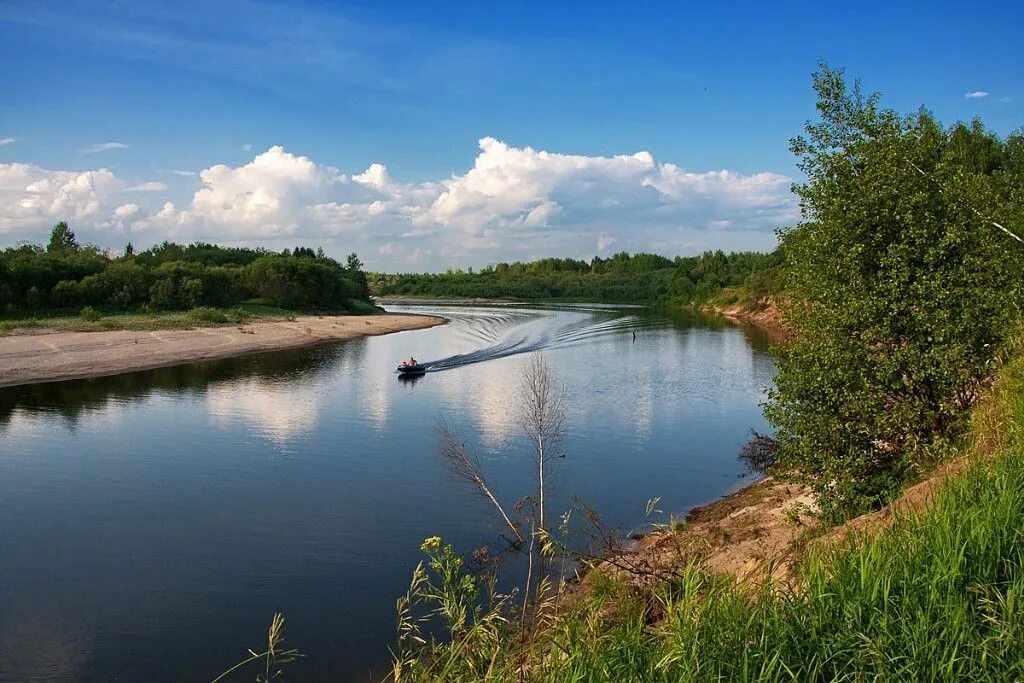 Уровень воды в ветлуге в воскресенском