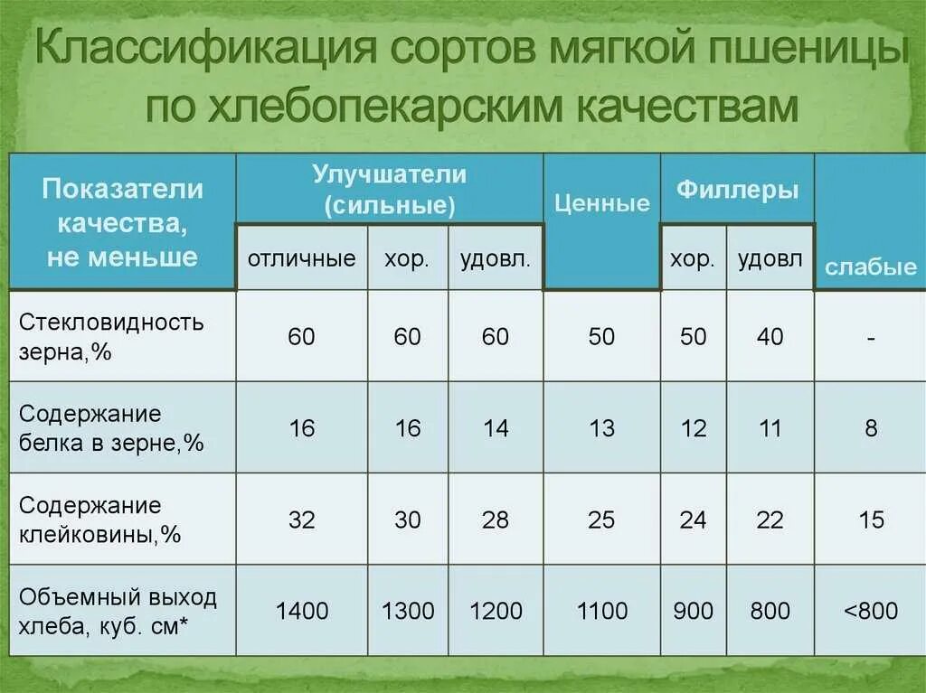 Класс пшеницы. Показатели качества зерна пшеницы таблица. параметры классности зерна пшеницы. класс зерна пшеницы показатели качества. показатели качества зерна пшеницы мягкой.