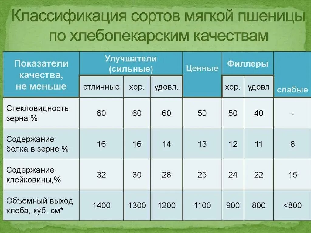 Показатели качества зерна пшеницы таблица. Параметры классности зерна пшеницы. Показатели качества зерна мягкой пшеницы. Стекловидность пшеницы норма.