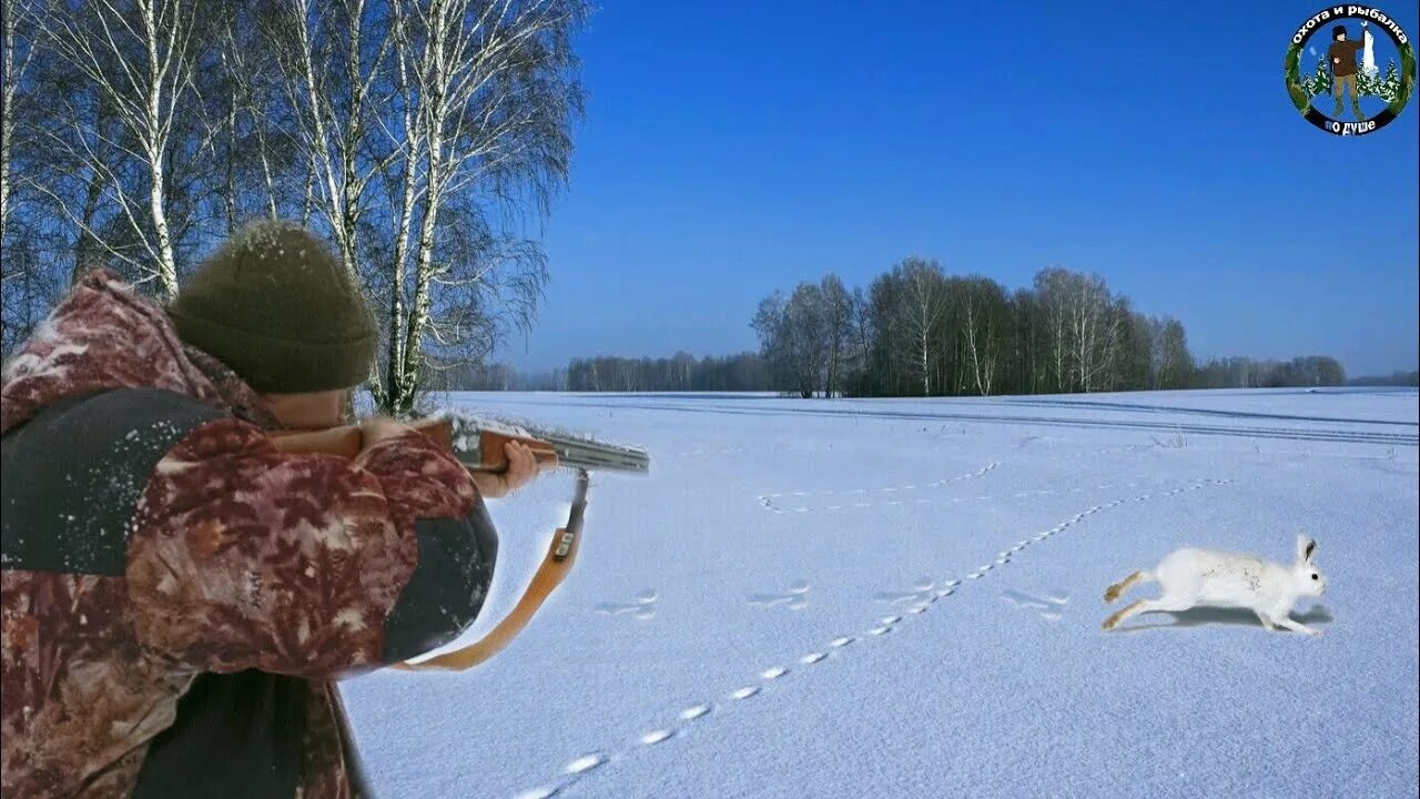 Охота на зайца свежие видео. Охотничье братство. Вотола мятла охотничья. Охота на зайца беляка с русскими гончими. Охота на зайца свежие видео.