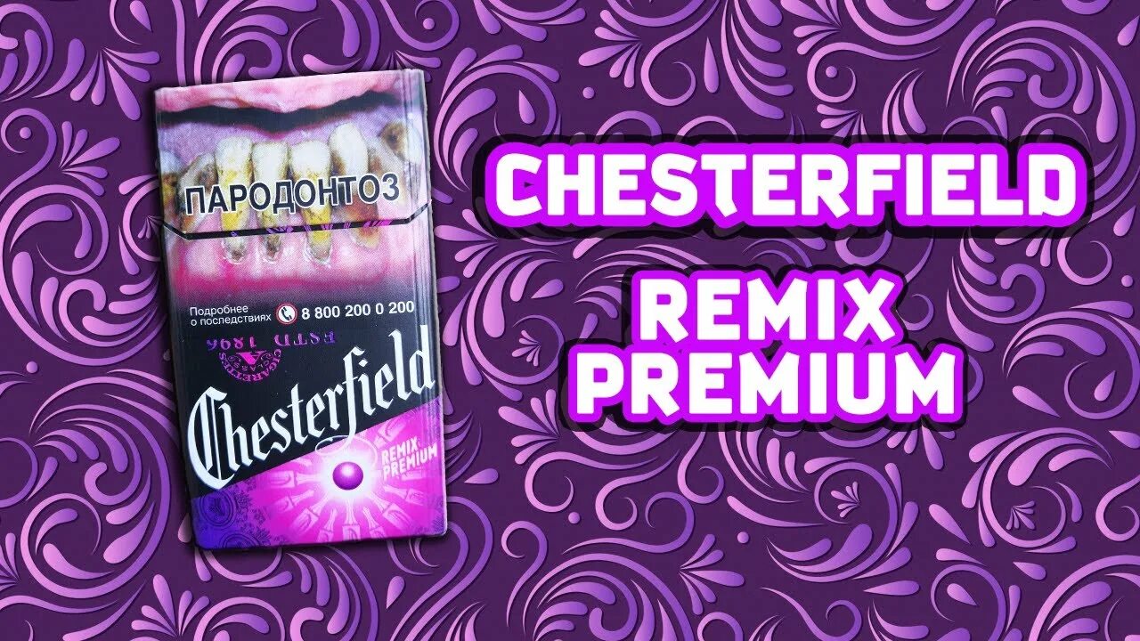 Bongacams chester. Сигареты Честерфилд с кнопкой вкусы. Сигареты Chesterfield Remix Premium. Сигареты Честерфилд компакт с кнопкой премиум. Сигареты Честерфилд компакт с кнопкой с фиолетовый.