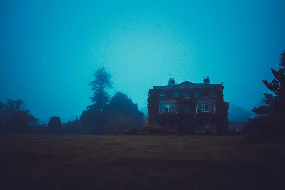 Blue fog. Синий лес в тумане. Пейзаж в синем тумане. Туман красиво. Blue fog.