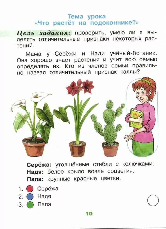 Домашнее задание окружающий мир 1 класс плешаков. Домашнее задание окружающий мир 1 класс плешаков