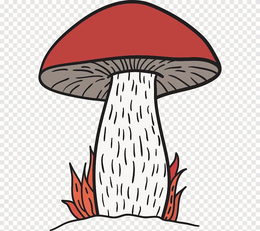 Гриб рисунок. Гриб рисунок для детей. Нарисовать гриб. Рисунки грибов для детей.