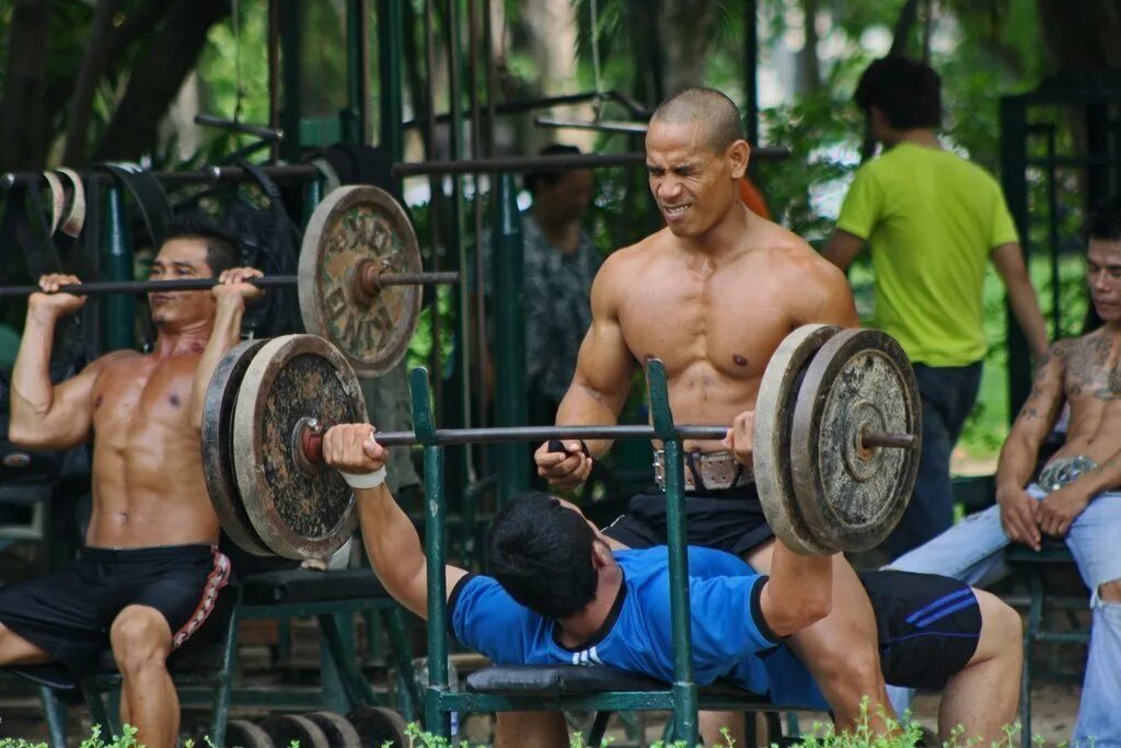 Качалки рядом. Качалка рядом. Lumpini Park Gym. Top Gym.