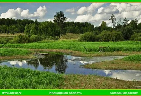 Есть ли в ивановской