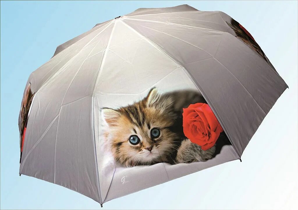 Rexant кот с зонтом. Зонт с котиками. Rexant кот с зонтом. Зонт коты. Rexant кот с зонтом.