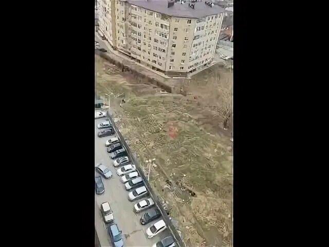 Рано краснодар