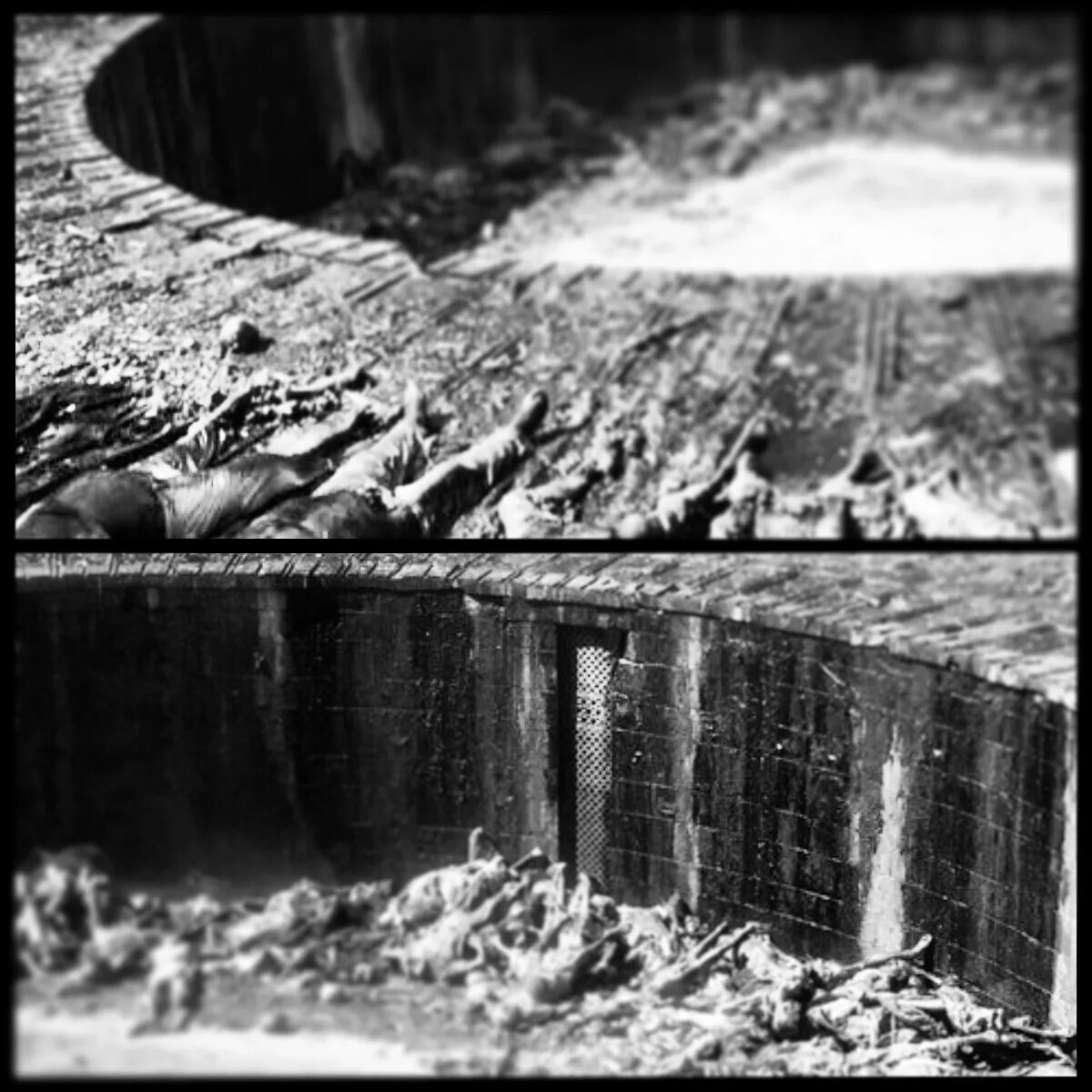 Башня молчания в индии. Tower of silence. башня молчания в индии фото. башни молчания венесуэла.