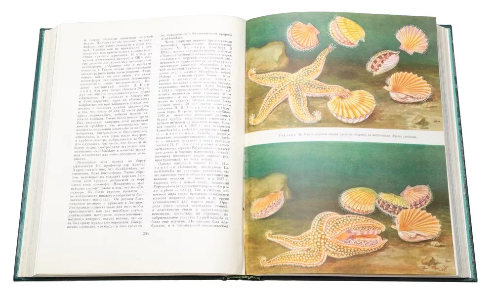 Жизнь животных том 1. Книга жизнь животных зенкевич.