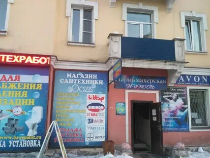 Оазис новокузнецк