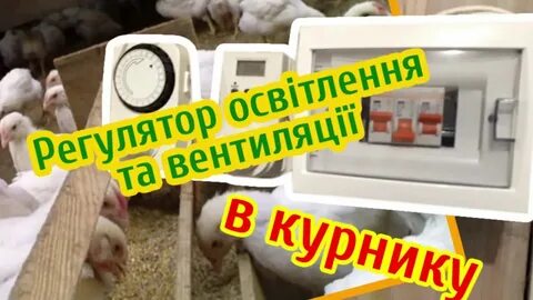 Включение света по времени в курятнике