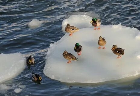 2 месяца на воде
