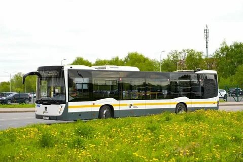 Автобус ерино южная