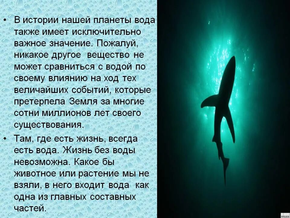 Какое значение имеет вода для нашей планеты. Значение воды для обитателей планеты. значение воды для обитателей нашей планеты. какое значение имеет вода для обитателей планеты.