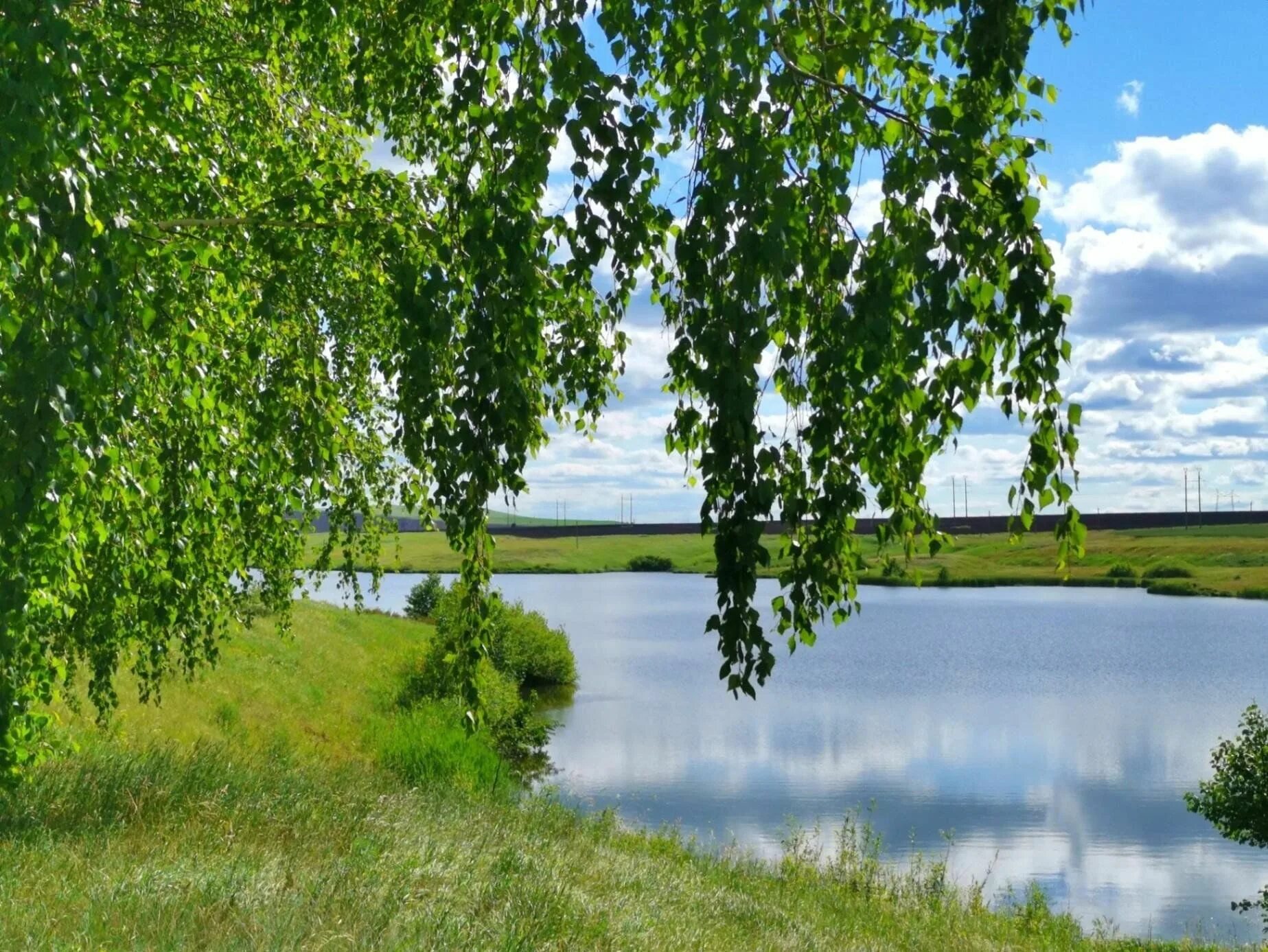 Постеры на стену небо, лес, деревья, aртикул: 3552 скворечник