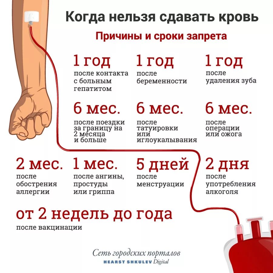 Сдавать кровь натощак можно ли пить. После сдачи крови на донорство. Нельзя сдавать кровь. Когда нельзя сдавать кровь. Как частл можно мдпватькровь.