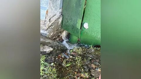 Нижний залило