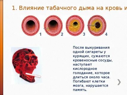 Курение сужение сосудов