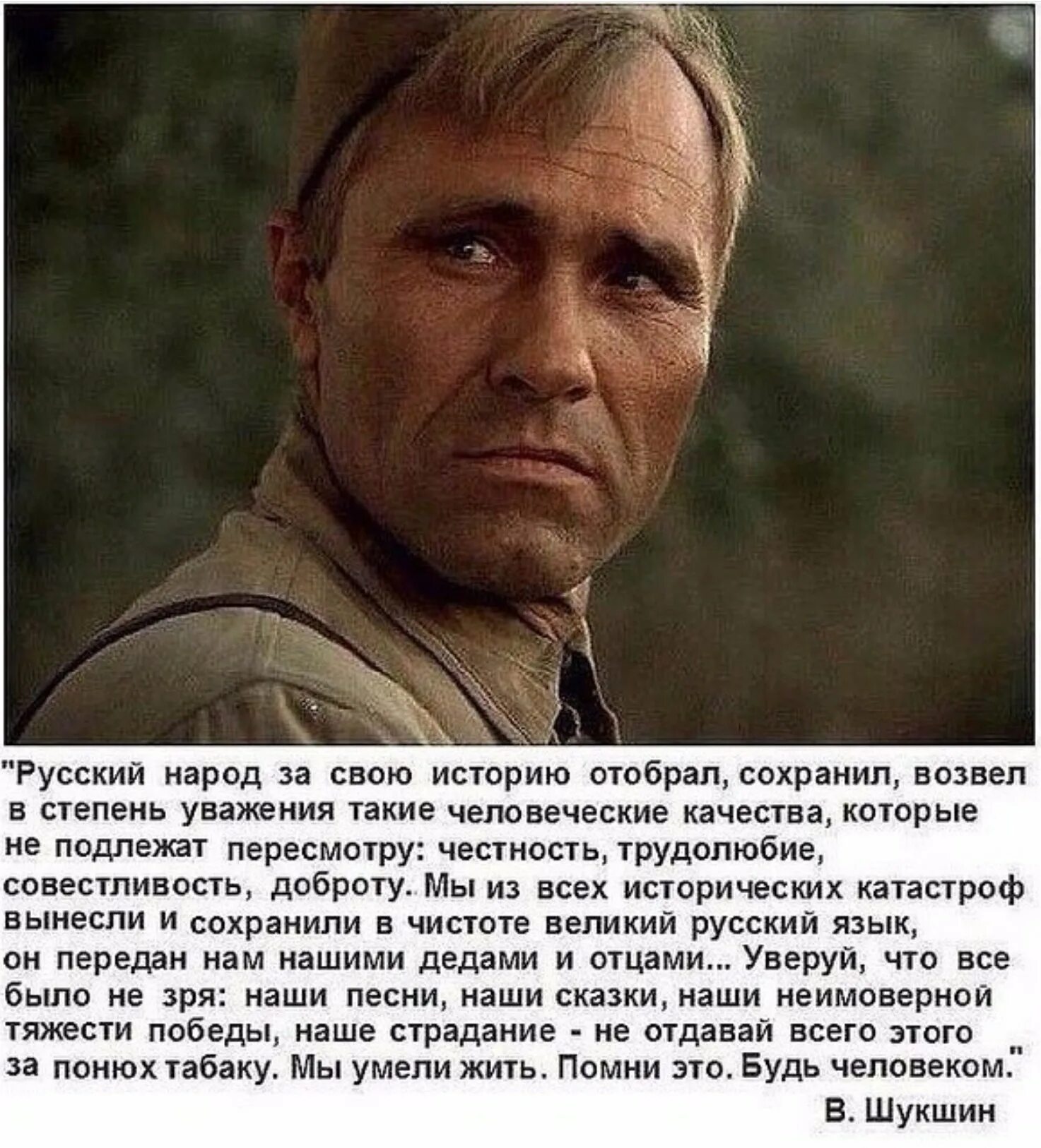 Шукшин уверуй. Шукшин василий шукшин критики. Василий шукшин фото. В м шукшин в людях. Шукшин презентация.