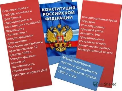 Статус человека конституция