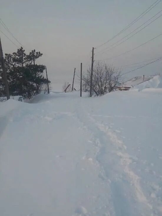 Алтайский край буран. Алейск зимой. Моховское Алейский район. Поселок утка Змеиногорский район. Село Дружба Алтайский край Алейский район.