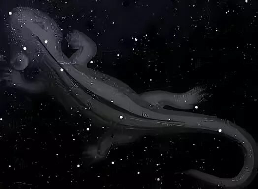 Lacerta созвездие. Созвездие ящерица схема. Созвездие ящерица на карте звездного неба. Ящерица созвездие звезды. Альфа ящерицы созвездие.